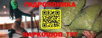 прущие крисы Кандалакша