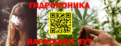 прущие крисы Кандалакша