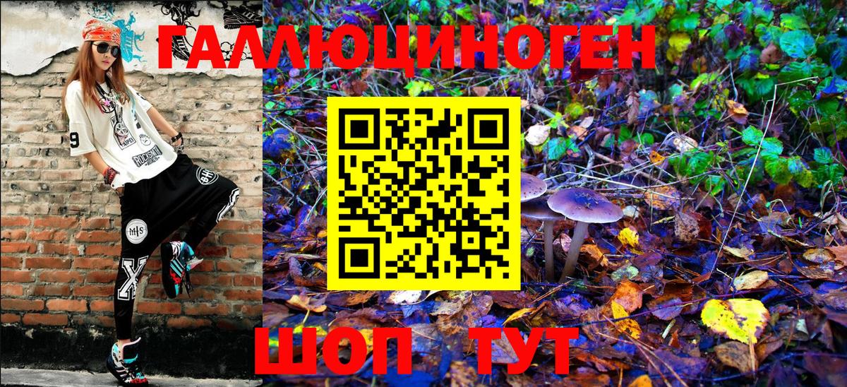 Электрогорск  Галлюциногенные грибы MAGIC MUSHROOMS  Псилоцибиновые грибы MAGIC MUSHROOMS  купить закладку  Вход с VPN 