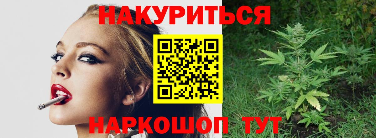 Канабис план Электрогорск